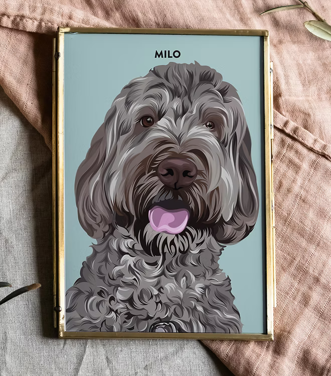 Custom dog portrait art framed, curly gray dog on blue background, CostanzaToniniDesign