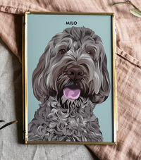 Custom dog portrait art framed, curly gray dog on blue background, CostanzaToniniDesign
