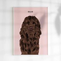 A custom pet portrait illustration in a realistic style, featuring a Chocolate Cocker Spaniel or long-haired brown dog with wavy fur and soulful eyes. The background is a solid blush pink, with the dog's name "OLLIE" written in bold black text above. This unique custom dog portrait is an ideal Cocker Spaniel gift, dog memorial art, or personalized wall print for modern pet owners.