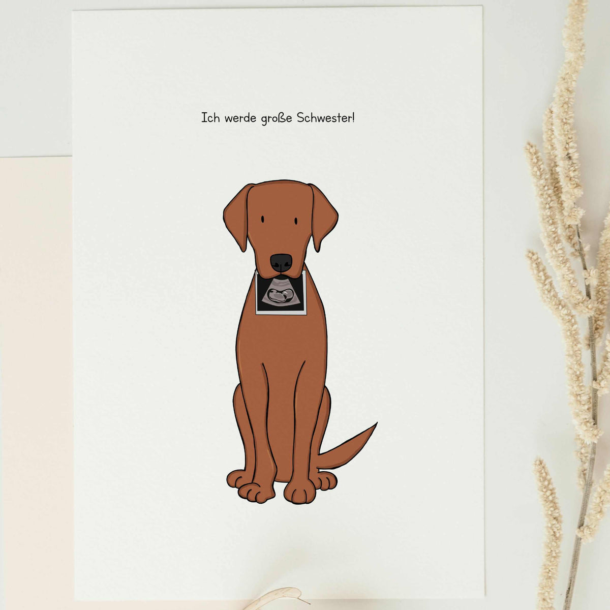 A vertical matte paper announcement card featuring a hand-drawn illustration of a brown Labrador dog sitting and holding a black-and-white baby ultrasound photo in its mouth against a clean white background.