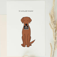 A vertical matte paper announcement card featuring a hand-drawn illustration of a brown Labrador dog sitting and holding a black-and-white baby ultrasound photo in its mouth against a clean white background.